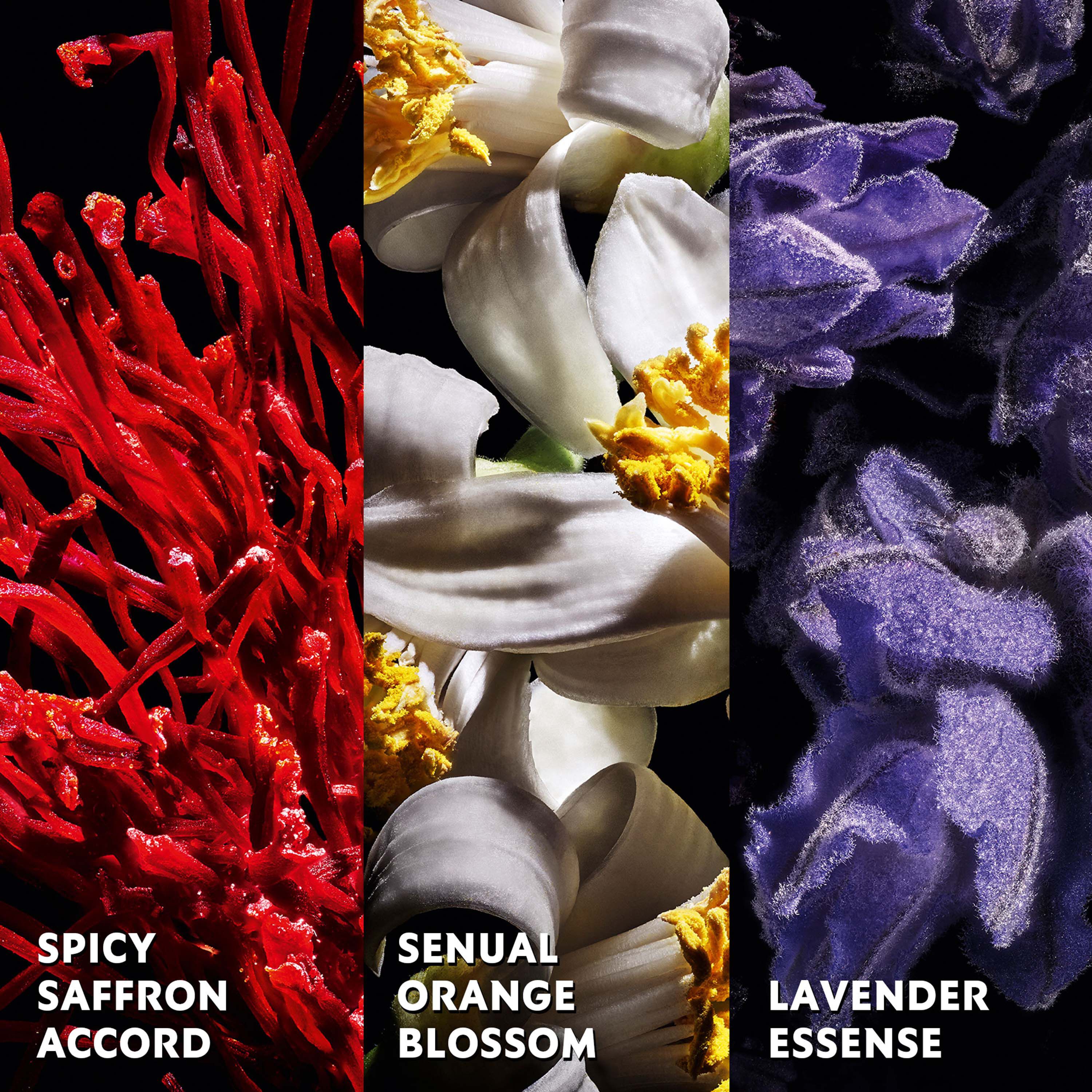 Libre Le Parfum - Spicy Floral Women's Fragrance - YSL Beauty Libre Le Parfum - Spicy Floral Women's Fragrance - YSL Beauty